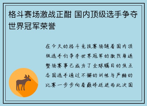 格斗赛场激战正酣 国内顶级选手争夺世界冠军荣誉